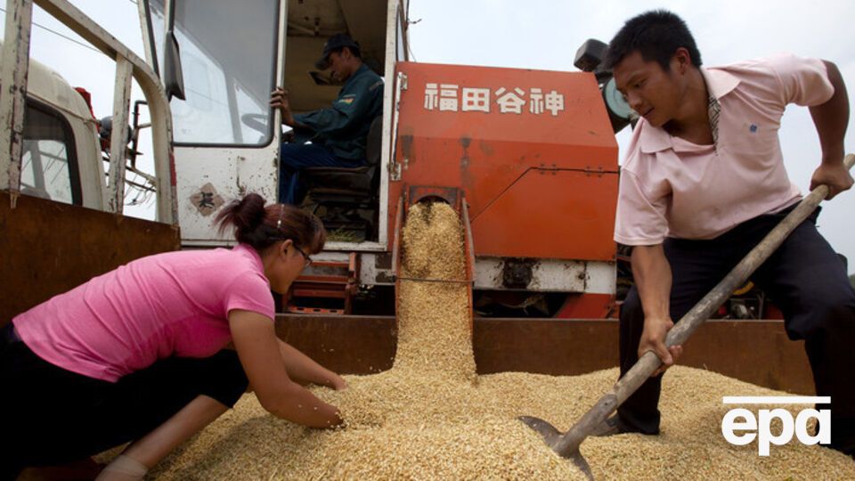 Китайцы активно используют российские земли для сельхозработ