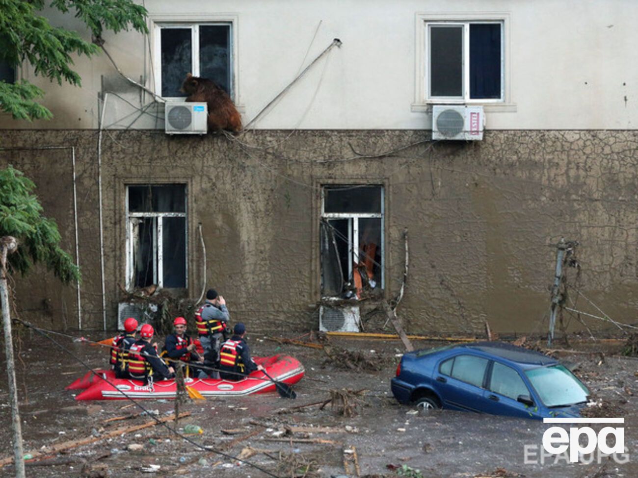 МВД Грузии: Информация о пропавших без вести поступила в полицию от их родственников