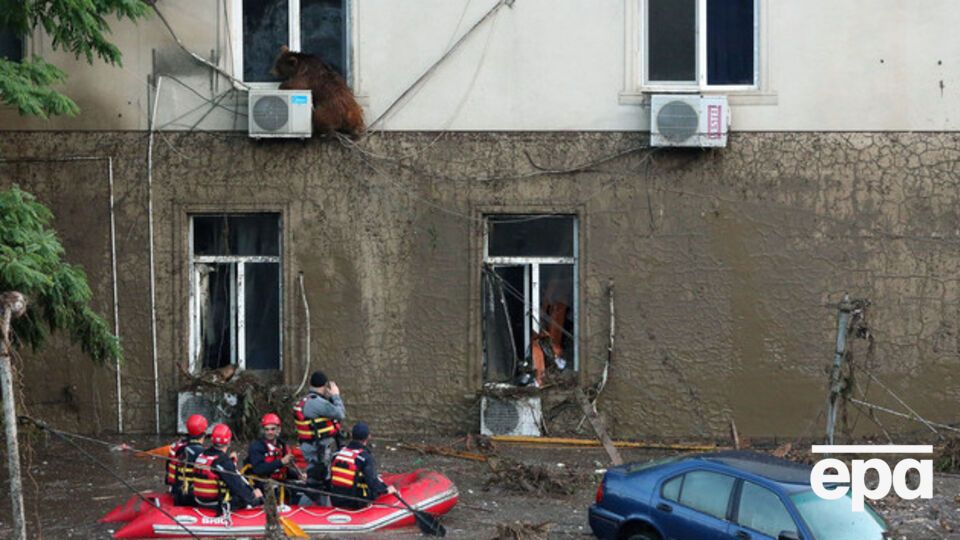 МВД Грузии: Информация о пропавших без вести поступила в полицию от их родственников