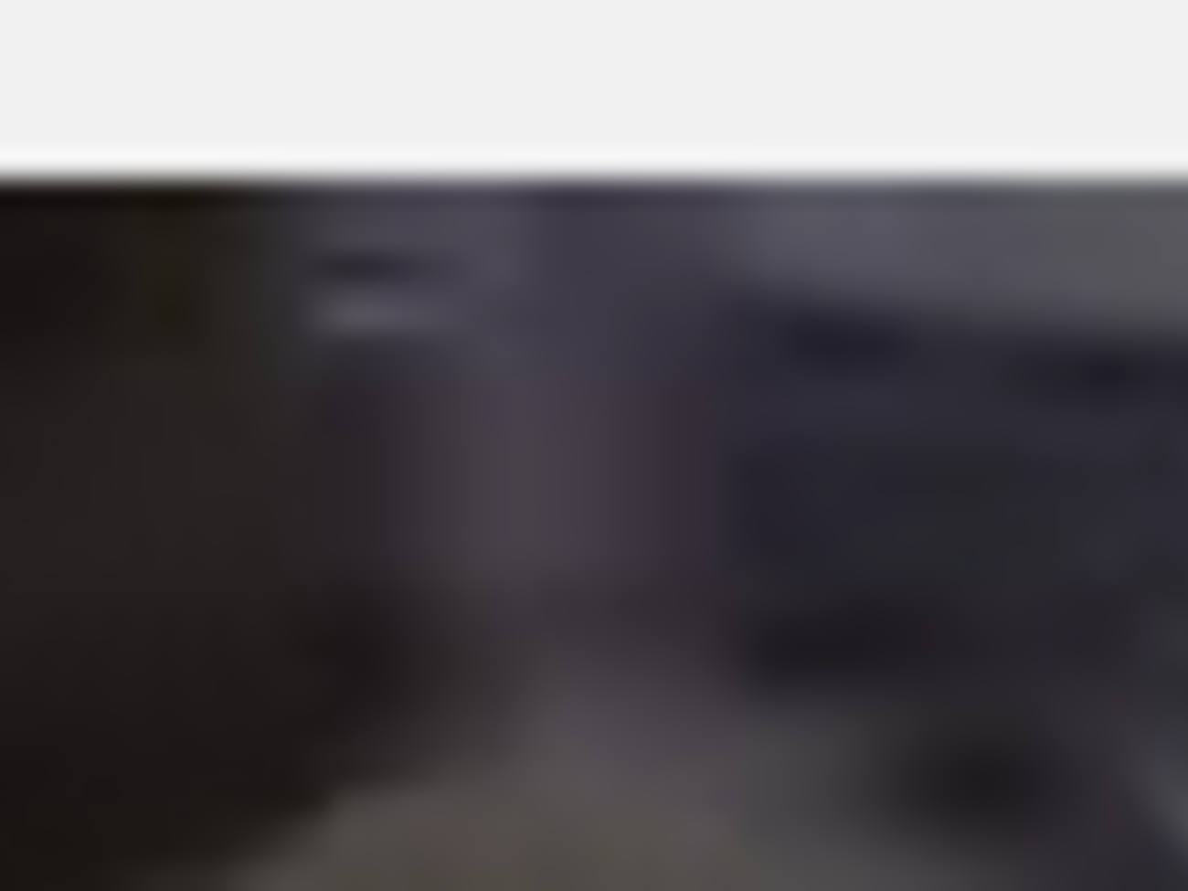 Встречающие скандировали:&nbsp;"Королевской ганьба!" и "Вали в Россию!"