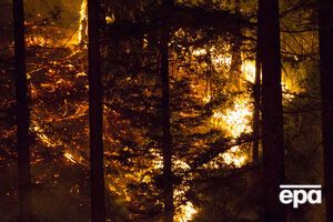 В Луганской области горит лес