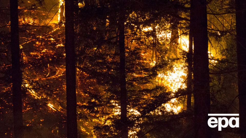 В Луганской области горит лес