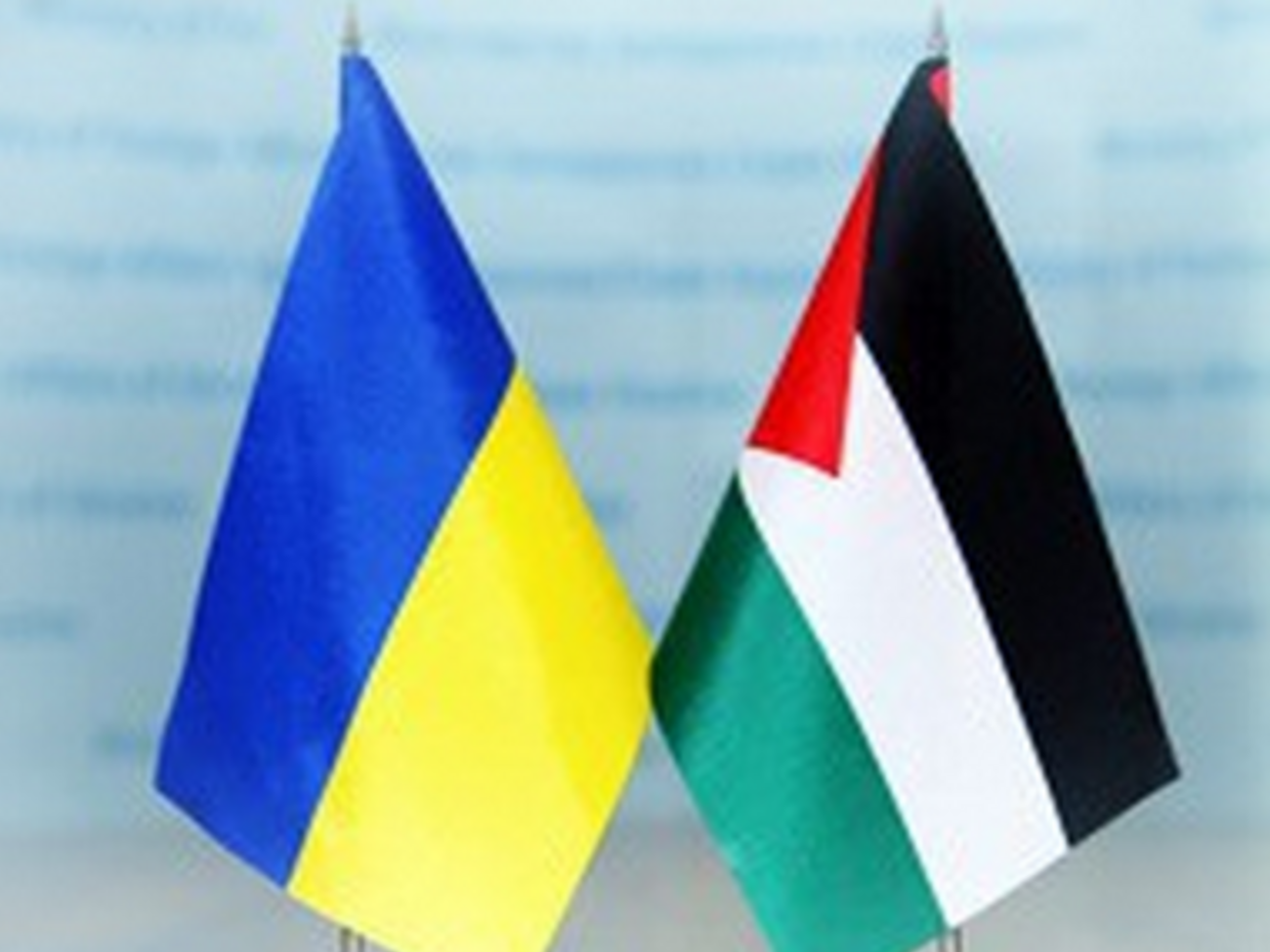 Один из пострадавших сообщил послу, что нападавших было много, все они были в масках