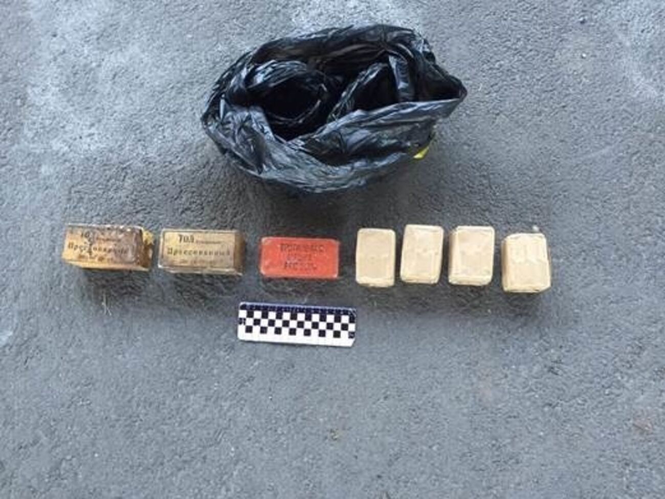 СБУ: В тайнике лежали две толовые, одна тротиловая шашка и 120 патронов