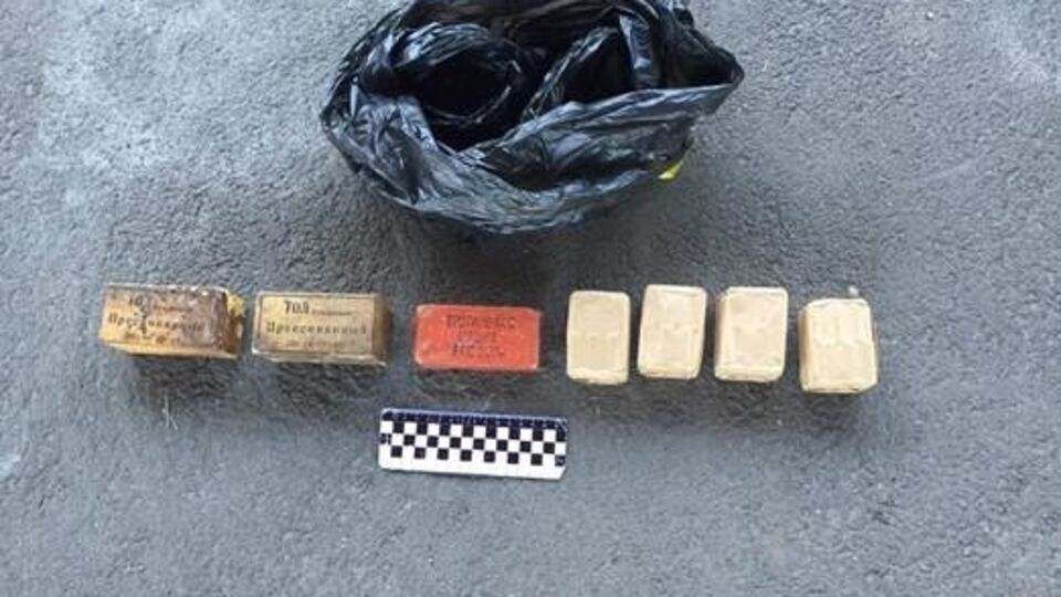 СБУ: В тайнике лежали две толовые, одна тротиловая шашка и 120 патронов