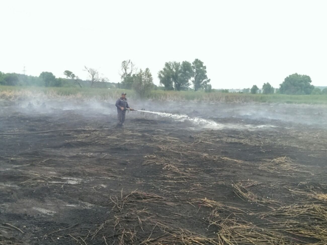 Пожарные продолжают тушить торфяники