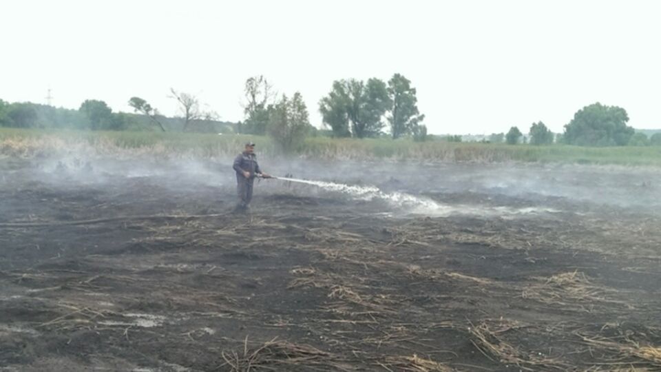 Пожарные продолжают тушить торфяники