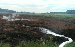 В Киевской области продолжают гореть торфяники
