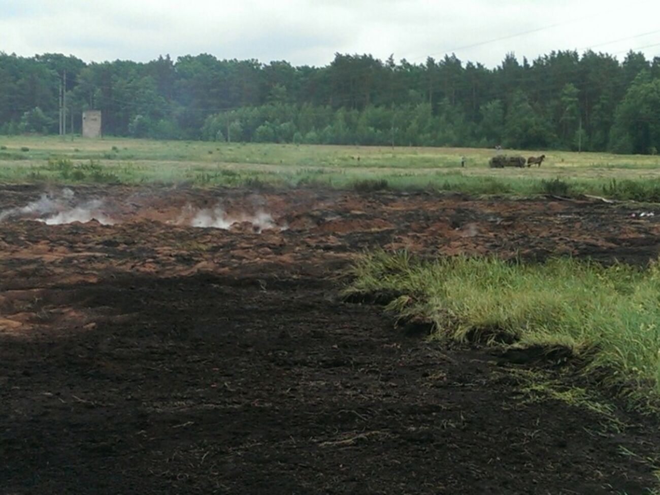 В Киевской области горят почти 17 га торфяников. Фоторепортаж