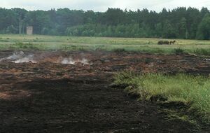 В Киевской области горят почти 17 га торфяников. Фоторепортаж