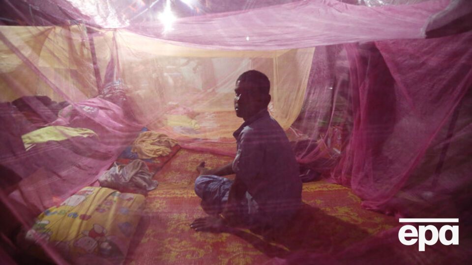 Число беженцев достигло рекордных показателей