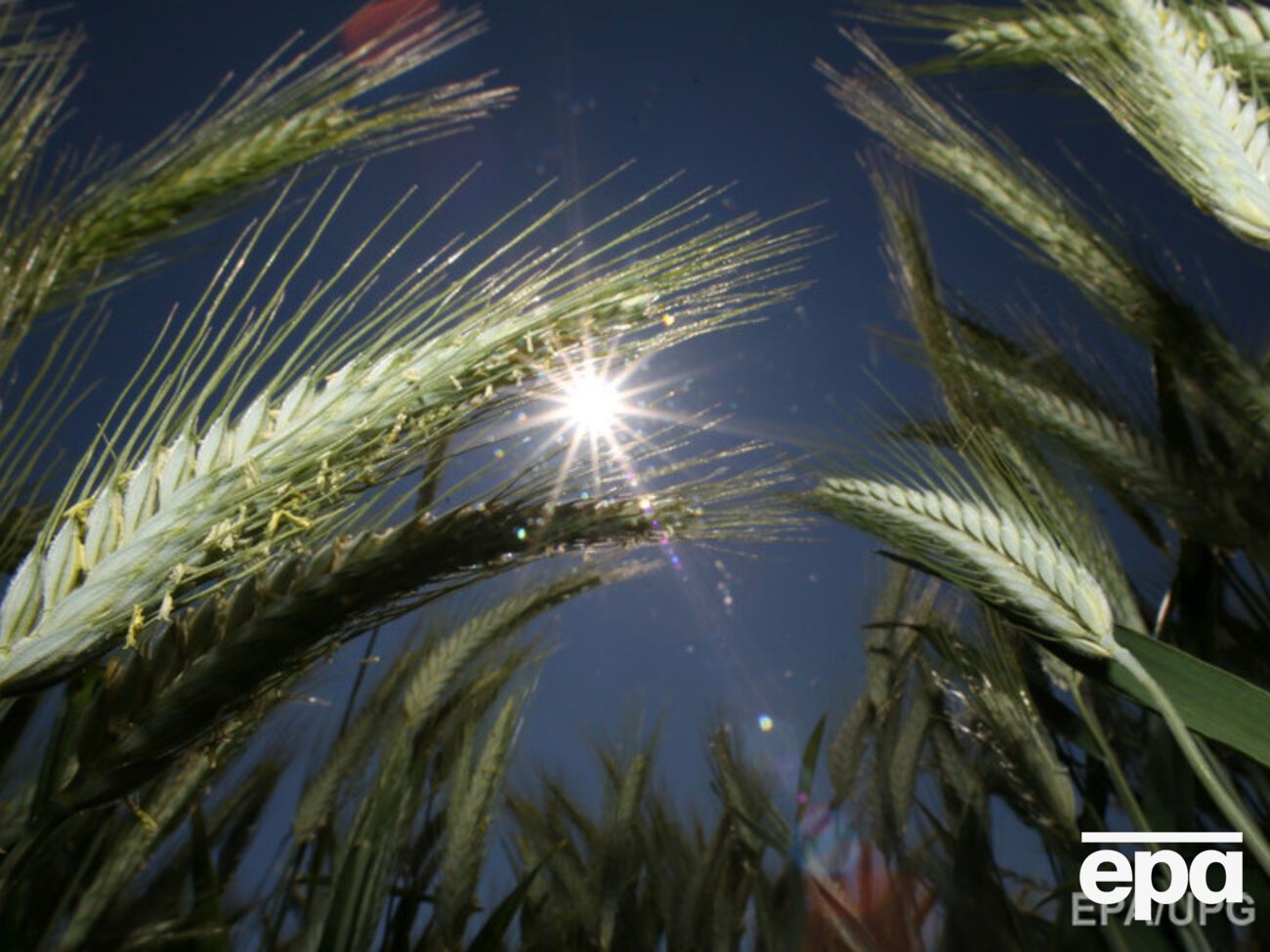 В Украину возвращается жара