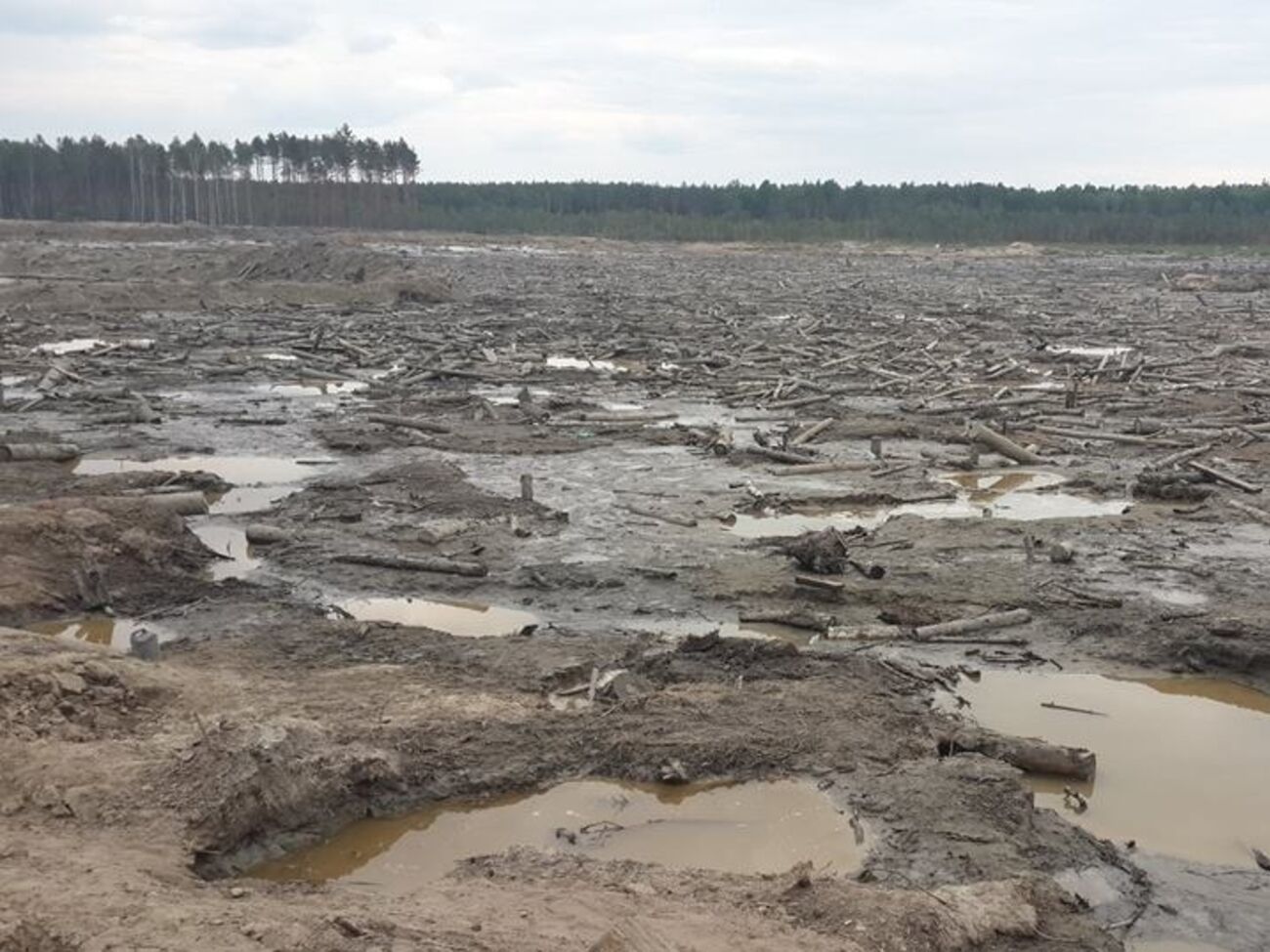 На место происшествия уже приехали правоохранители