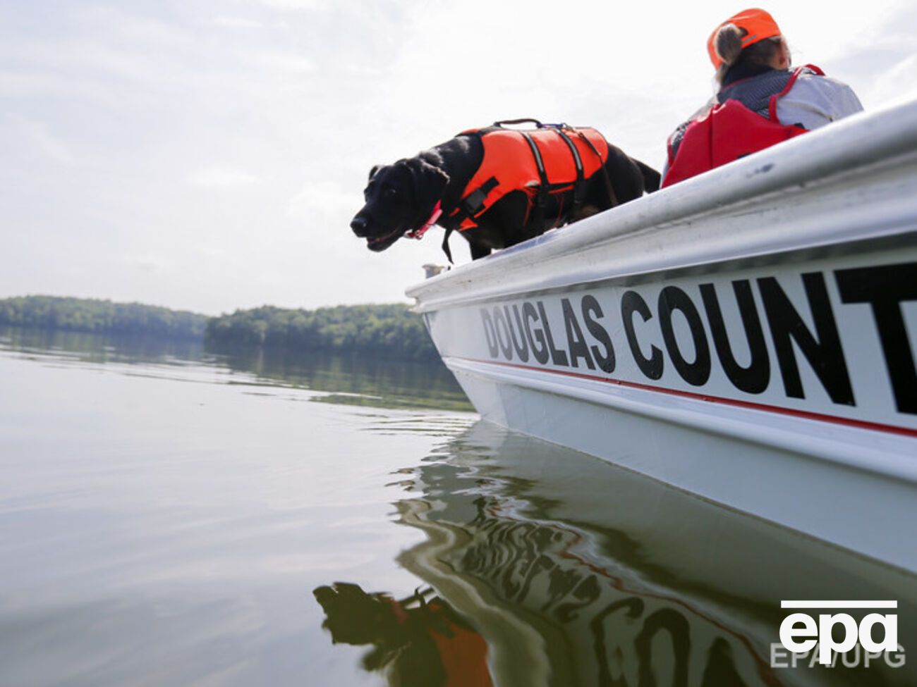 Сбежавший из зоопарка пингвин смог добраться до соседнего государства по реке