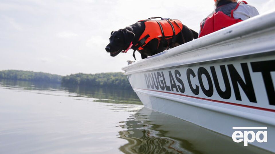 Сбежавший из зоопарка пингвин смог добраться до соседнего государства по реке