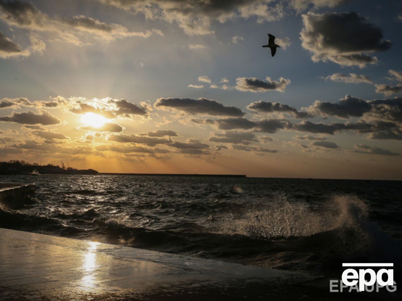 Россиянам рекомендовали ехать в Крым через Украину