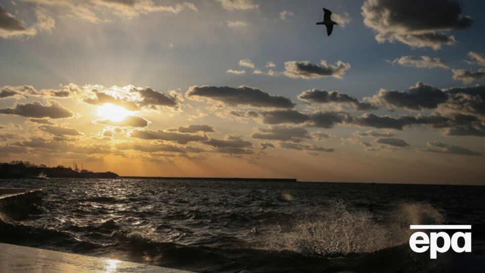 Россиянам рекомендовали ехать в Крым через Украину