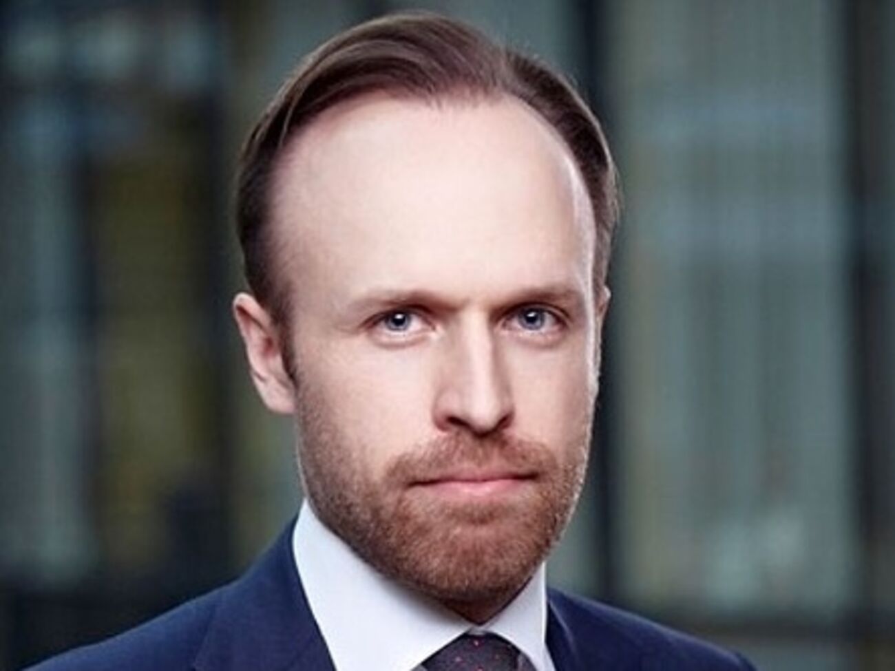 Филатов рассказал Венецианской комиссии о планируемых изменениях в Конституцию Украины