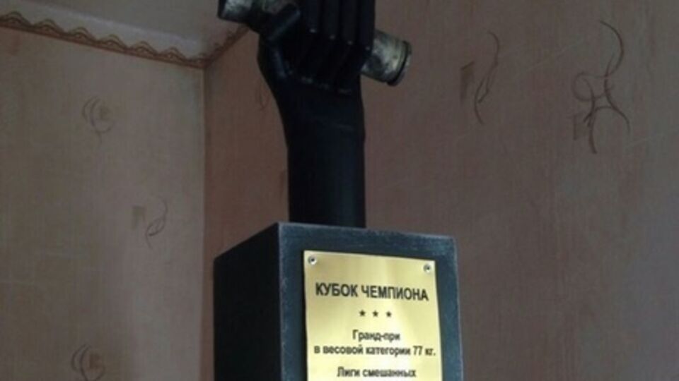 Аваков: Фото от одного из "чемпионов" Оплот ДНР 2015. Воздадим чемпиону должное!