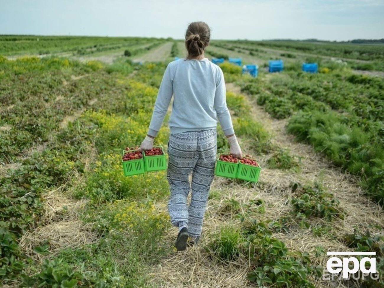 Китайский эксперт-международник об аренде земли в РФ: Китай должен подавать пример того, как соблюдать российские законы и трудиться на благо местных жителей