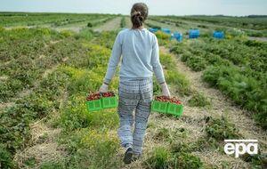 Китайский эксперт-международник об аренде земли в РФ: Китай должен подавать пример того, как соблюдать российские законы и трудиться на благо местных жителей