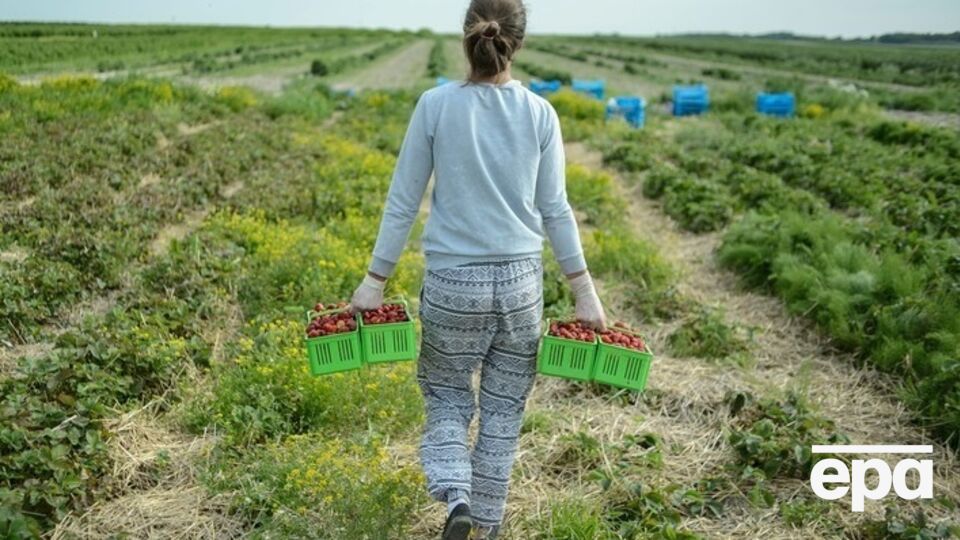 Китайский эксперт-международник об аренде земли в РФ: Китай должен подавать пример того, как соблюдать российские законы и трудиться на благо местных жителей