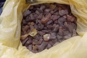 Пограничники обнаружили у двух граждан Китая 14 килограммов необработанного янтаря