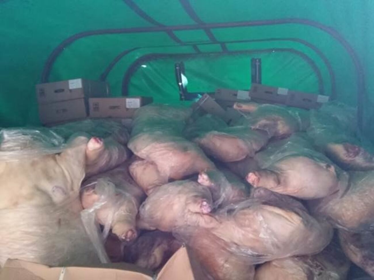 На временно оккупированную территорию пытались провезти мясо в военных грузовиках