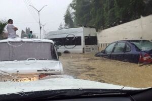 Журналист Волков считает причиной наводнения нарушения при строительстве олимпийских объектов