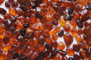 Госпогранслужба изъяла более 500 кг янтаря