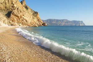 В Севастополе не провели дератизацию пляжей