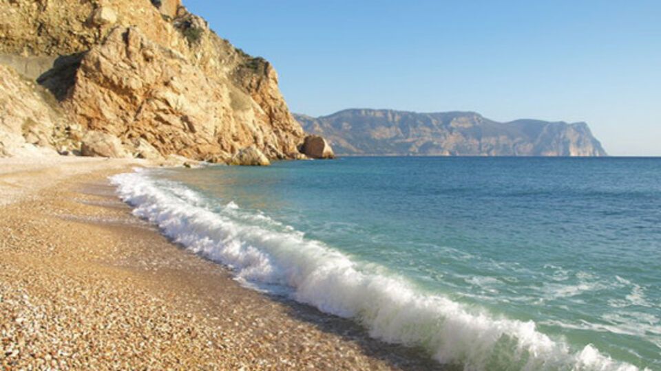 В Севастополе не провели дератизацию пляжей