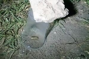 Один из милиционеров в результате нападения неизвестного погиб