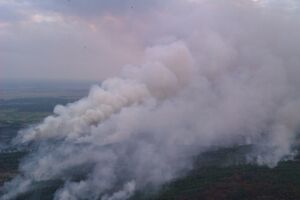 В зоне отчуждения горит 110 гектаров
