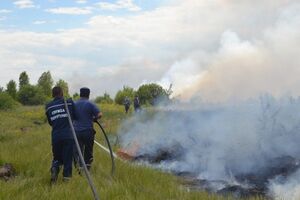 В "Чернобыльской пуще" второй день горит около 130 га сухой травы. Фоторепортаж