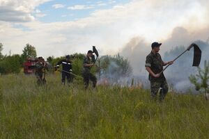 В "Чернобыльской пуще" второй день тушат пожар