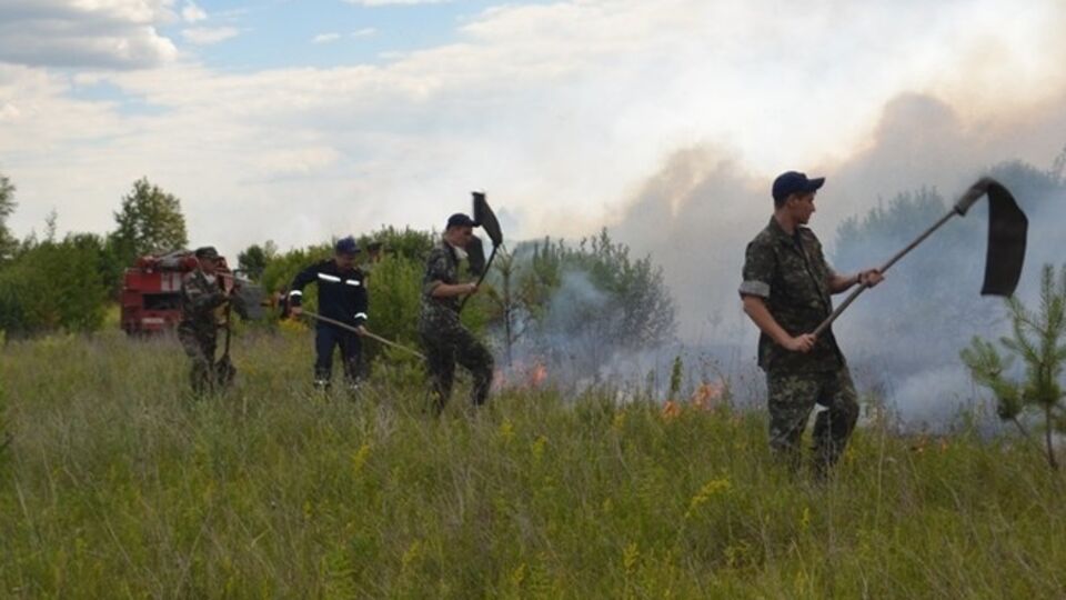 В "Чернобыльской пуще" второй день тушат пожар