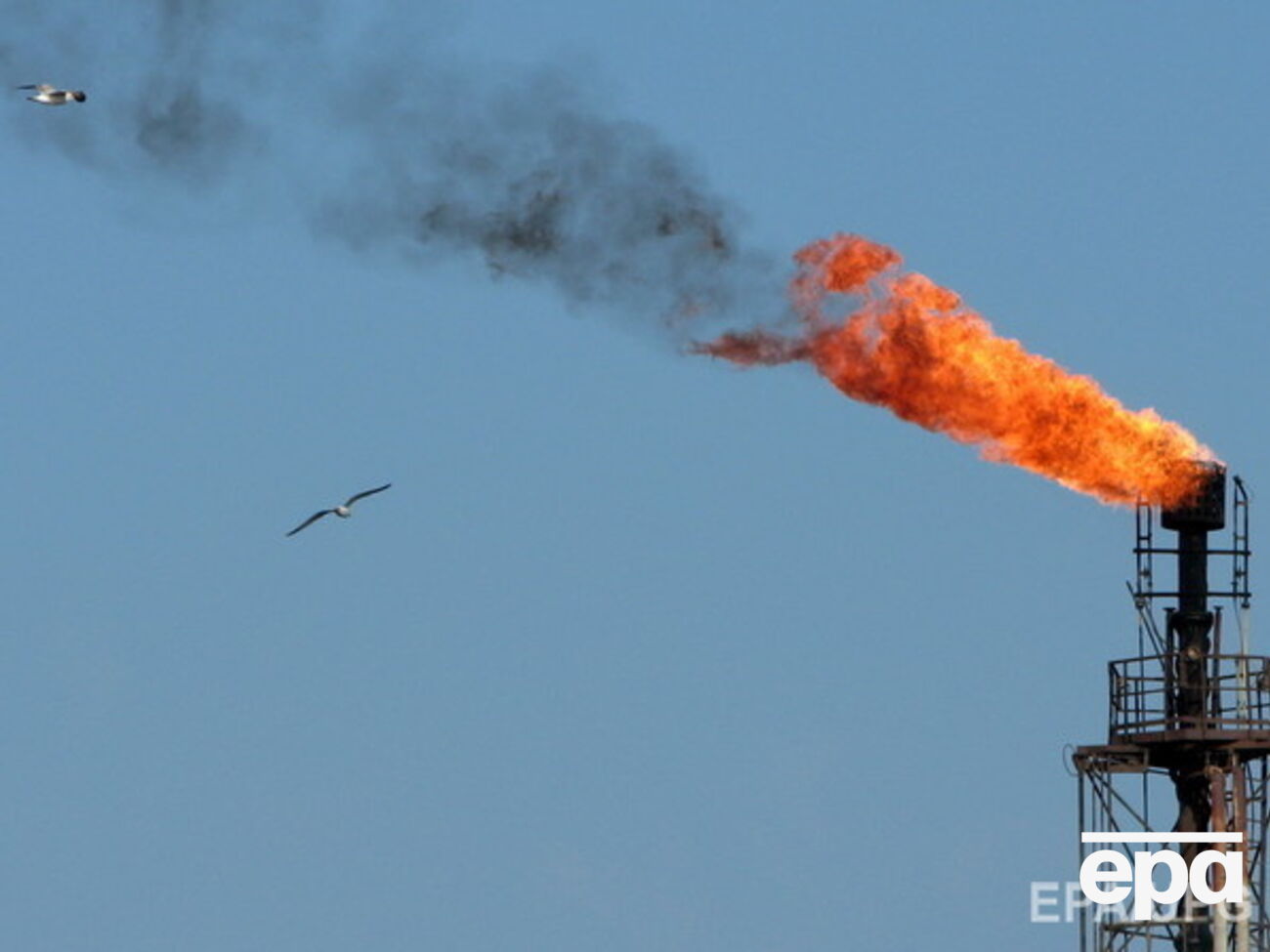 Ценовые качели на рынке нефти продолжаются