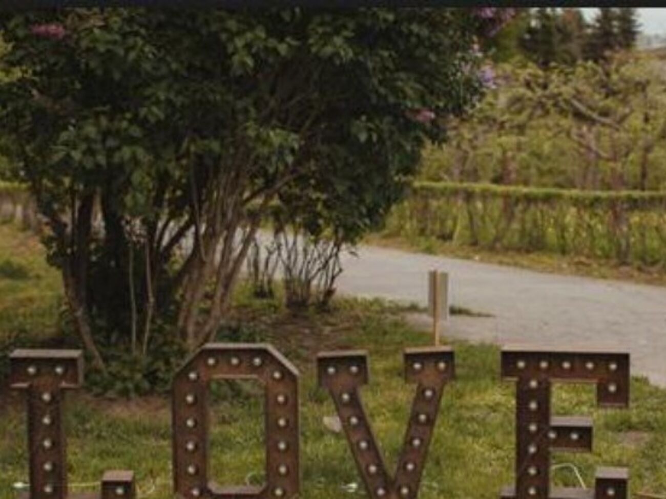 На фестивале будет три локации: Площадь любви, Аллея свиданий и Запретная зона