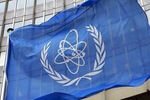 Берденников: Россия не может согласиться ни с какими положениями доклада МАГАТЭ
