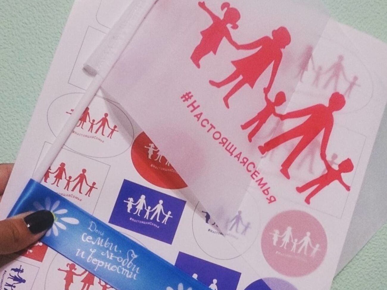 Людовин де ля Рошер: Мы не согласны с тем, как "Единая Россия" использует наш флаг