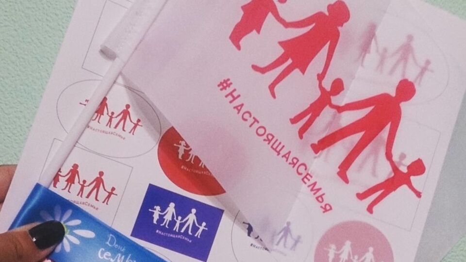 Людовин де ля Рошер: Мы не согласны с тем, как "Единая Россия" использует наш флаг