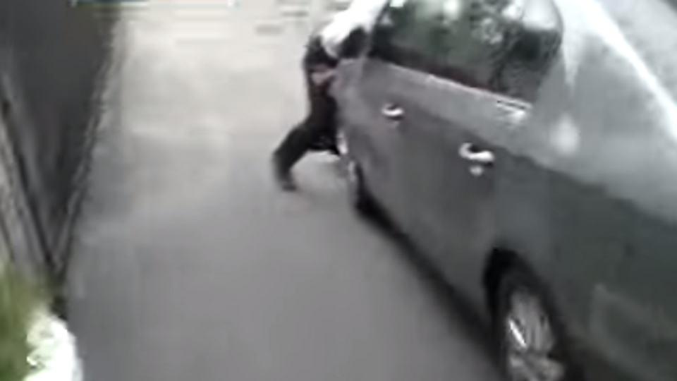 Мэр Полтавы подрался с Каплиным и сбил на автомобиле депутата горсовета. Видео