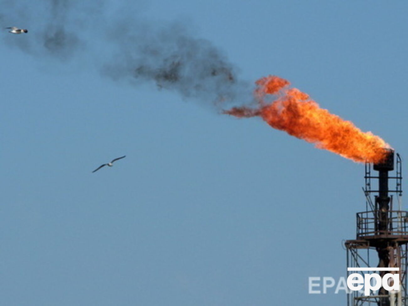 Цены на нефть вновь растут