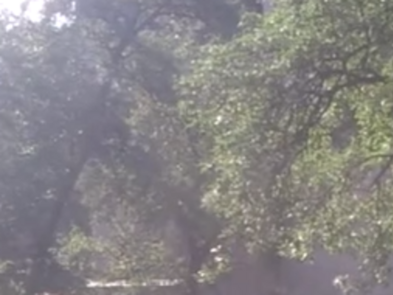 В результате нападения погибли три работника почты