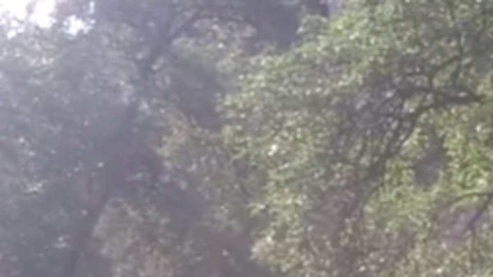 В результате нападения погибли три работника почты