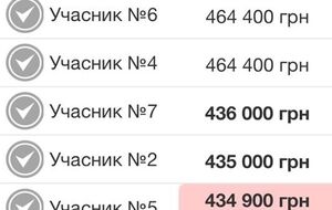 Процесс электронных торгов для ВСУ по одному из лотов