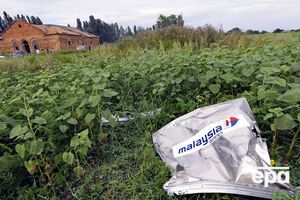 Премьер-министр Малайзии уверен, что виновные в крушении самолета должны понести наказание
