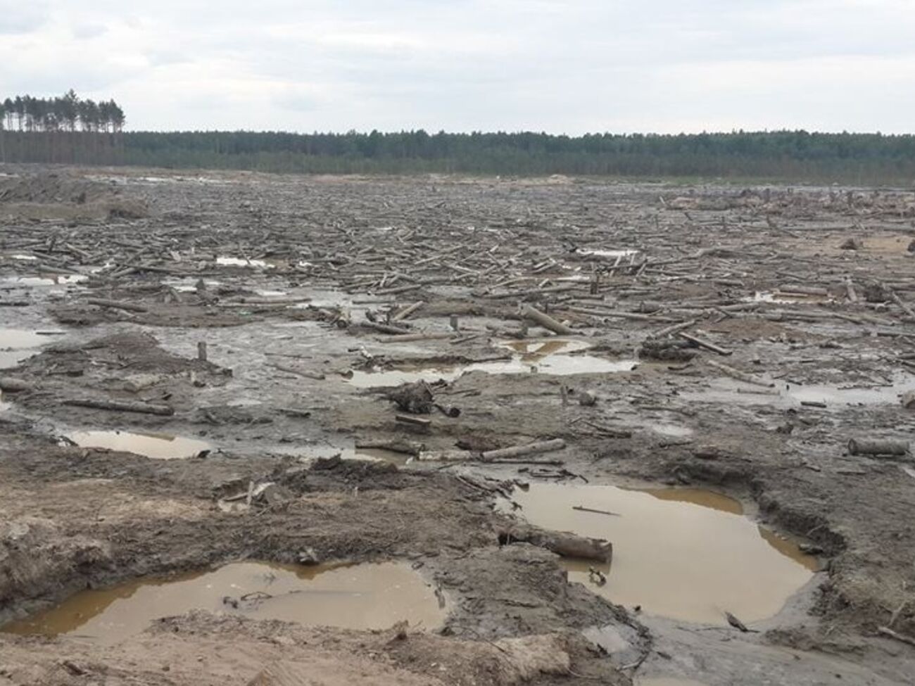 В прокуратуре заявили, что меры по борьбе с незаконной добычей янтаря оказались недостаточными