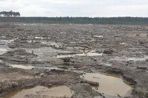 В прокуратуре заявили, что меры по борьбе с незаконной добычей янтаря оказались недостаточными